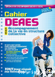Cahier DEAES